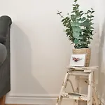 アパート Historic Mexico Building *