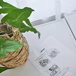 Historic Mexico Building アパート リュブリャナ