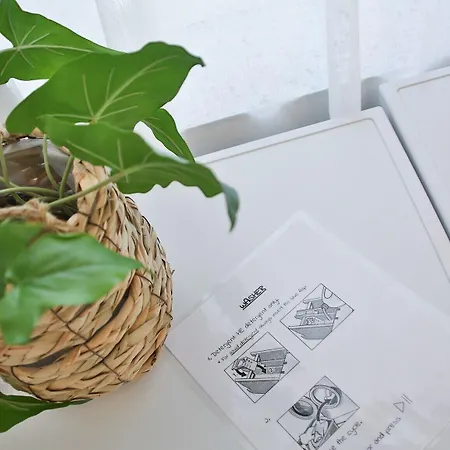 Historic Mexico Building Apartament Lublana